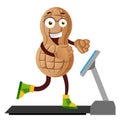 Peanut run on the conveyor belt, illustration, vector