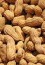 Peanut shells