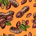 Peanut sketch illustration. Hand drawn beautiful set of groundnut.