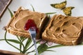 Peanutbutter bread Royalty Free Stock Photo