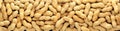 Peanuts Royalty Free Stock Photo