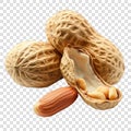 peanuts Royalty Free Stock Photo