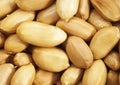 Peanuts, arachis hypogaea Royalty Free Stock Photo
