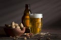 Peanuts and beer Royalty Free Stock Photo