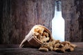 Peanuts and beer on wood background Royalty Free Stock Photo