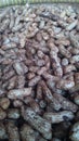 Peanuts that are being dried for processing