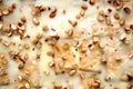 Peanuts on a bisquit cake Royalty Free Stock Photo