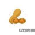 Peanuts clipart. Peanuts colorful flat icon