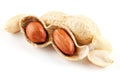 Peanuts closeup in shell and peeled on a white background