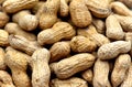 Peanuts