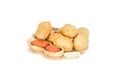Peanuts. Four real whole nut with two kernels in shell isolated on white background. Peanut macro close up. Full depth of field