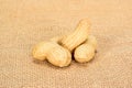 Peanuts. Four real whole nutson jute burlap surface. Peanut macro close up. Full depth of field