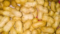 Peanuts - Ground nut shells