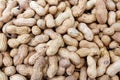 Peanuts or groundnuts in shell