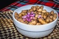 Peanuts growing on plant Arachis hypogaea being harvested, cleaned and ready to eat, Uganda Royalty Free Stock Photo