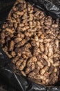 Peanuts growing on plant Arachis hypogaea being harvested, cleaned and ready to eat, Uganda Royalty Free Stock Photo