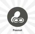 Peanuts isolated icon. fruit design element