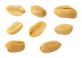 Peanuts Royalty Free Stock Photo