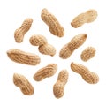 Peanuts isolated on white background Royalty Free Stock Photo