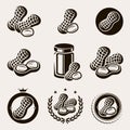 Peanuts label and icons set. Vector
