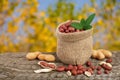 Peanuts with leaf in bag on old on wooden table with a blurry garden background Royalty Free Stock Photo