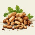 Peanuts with leaves on a white background. Vector illustration of nuts Royalty Free Stock Photo