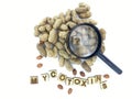 Peanuts and Mycotoxins Aflatoxins Issues, Moldy, Healthy Food and Side Effect