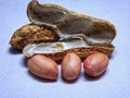 Peanuts with open shells on a white background. Royalty Free Stock Photo