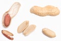 peanuts with opened shell red skin halves Royalty Free Stock Photo