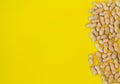 Peanuts pattern isolated on a yellow backround. Repetition concept Royalty Free Stock Photo