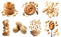 Peanut groundnut nut seed fruit vegetable, many angles view stack jar Butter spread, shell, fly piece isolated on transparent PNG Royalty Free Stock Photo