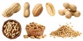 Peanut groundnut nut seed fruit vegetable, many angles view pile, basket, with hull shell, pieces isolated on transparent PNG Royalty Free Stock Photo