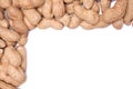 Peanuts in a peel on a white background isolate Royalty Free Stock Photo