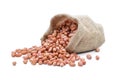 Peanuts raw grains in sack of on white background Royalty Free Stock Photo
