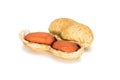 Peanuts. Real whole nut with kernels in shell isolated on white background. Peanut macro close up. Full depth of field.