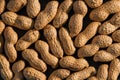 Peanuts seed