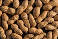 Peanuts seed Royalty Free Stock Photo