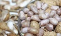 Peanuts seed placed on Peanuts Royalty Free Stock Photo