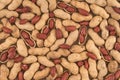 Peanuts seed placed on Peanuts. Royalty Free Stock Photo