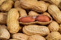 Peanuts in shell closeup Royalty Free Stock Photo