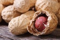 Peanuts in shell closeup