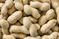 Peanuts in shell Full Frame Top View Royalty Free Stock Photo