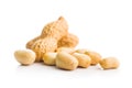 Peanuts in shell. Groundnuts isolated on white background Royalty Free Stock Photo