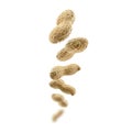 Peanuts in the shell levitate on a white background Royalty Free Stock Photo