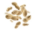 Peanuts in the shell levitate on a white background Royalty Free Stock Photo