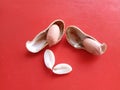 Peanuts with shell on a red background Royalty Free Stock Photo