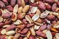 Peanuts in shell roasted and salted Royalty Free Stock Photo