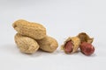 Peanuts on a white background