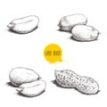 Peanuts sketch set. Hand drawn retro style vector illustrations of organic food. Seeds and shells. Single and group. Vintage engra Royalty Free Stock Photo