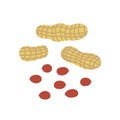 Peanuts in shells and nuts. Flat vector illustration isolated on white background.